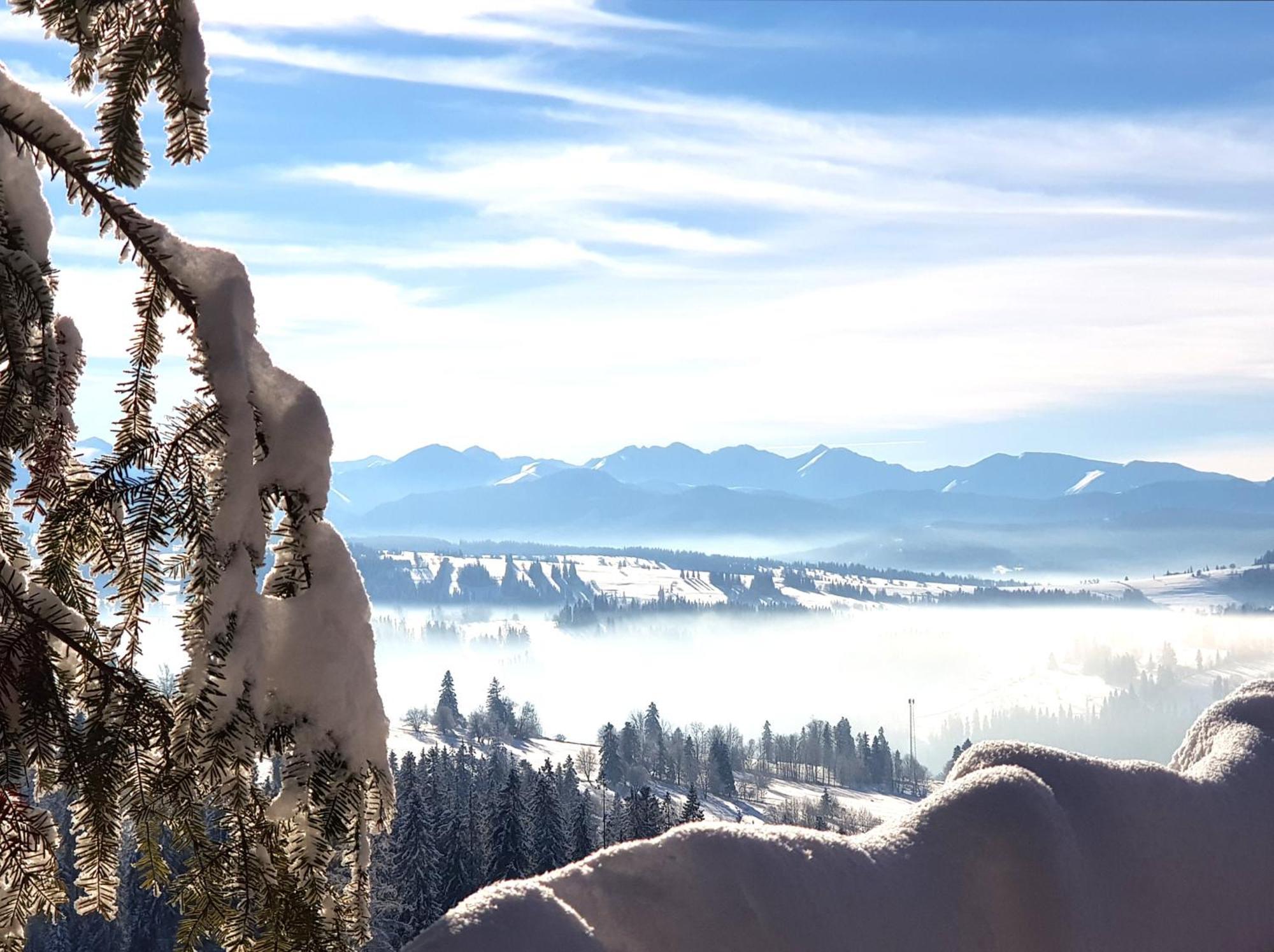 Dom Gorski Klimat-Willa 160 M2 Z Wewnetrzna Sauna Finska, Znizki Do Term Goracy Potok Zakopane Buitenkant foto
